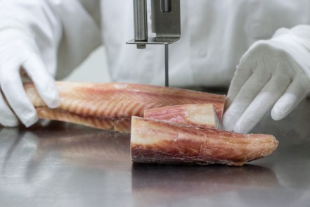 NBPHOTO-D23062015-0003