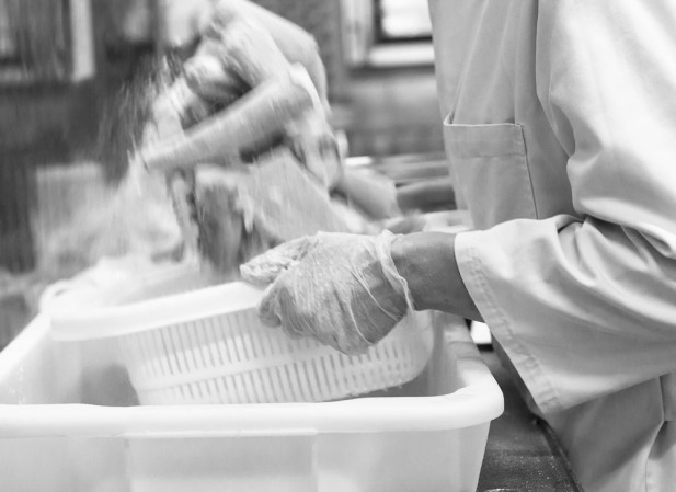 NBPHOTO-D23062015-0020