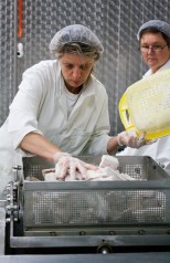 NBPHOTO-D23062015-0040