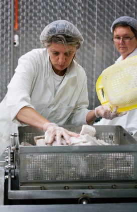 NBPHOTO-D23062015-0040